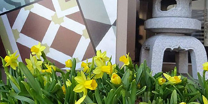Frühling bei Rudolph Richter